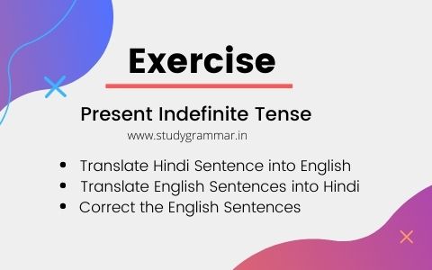 [ Exercise ] Present Indefinite Tense Exercise in hindi